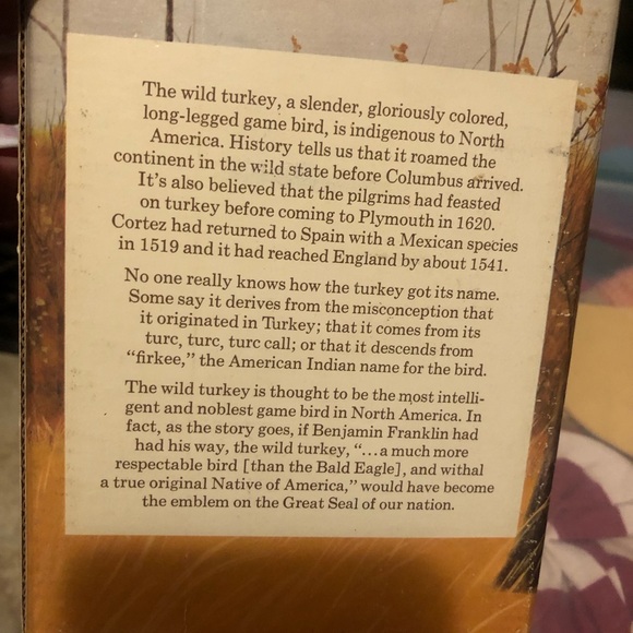 Avon Wild Turkey After Shave Collectible Bottle - Picture 3 of 8